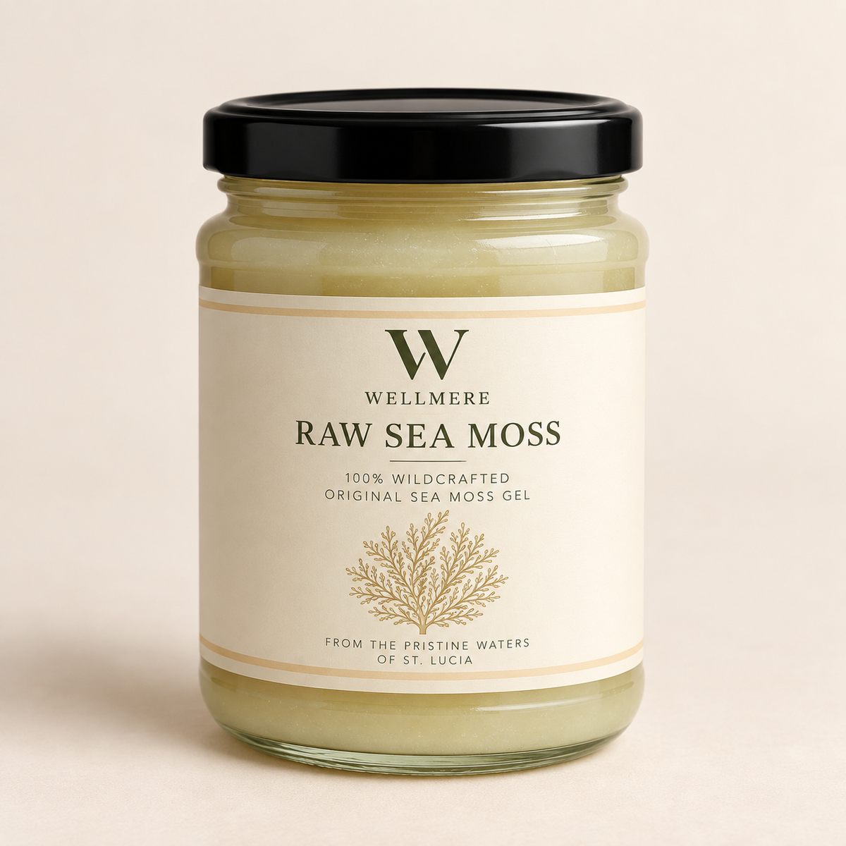 Original Sea Moss Gel